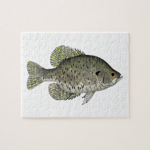 Puzzle Crappie noire