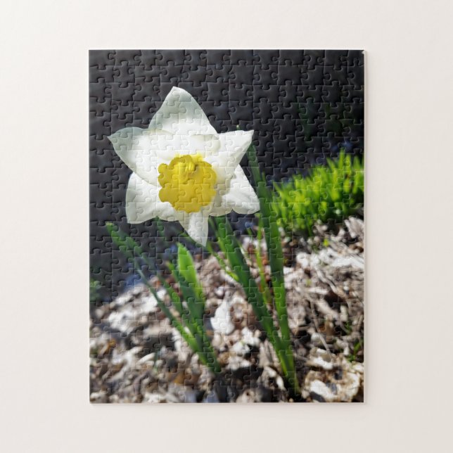 Puzzle créatif de jardin de jonquilles blanches (Vertical)
