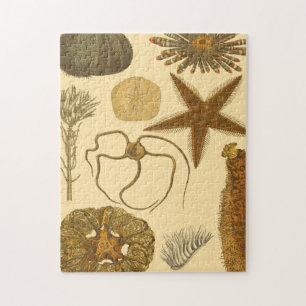 Puzzle Créatures sous-marines