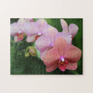 Puzzle Créez Votre Propre Fleur D'orchidée Assez Abricoté