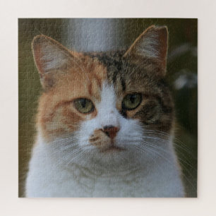 Puzzle Créez Votre Propre Photo de Chat Personnalisée