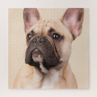 Créez Votre Propre Photo de Compagnon à Quatre Pat