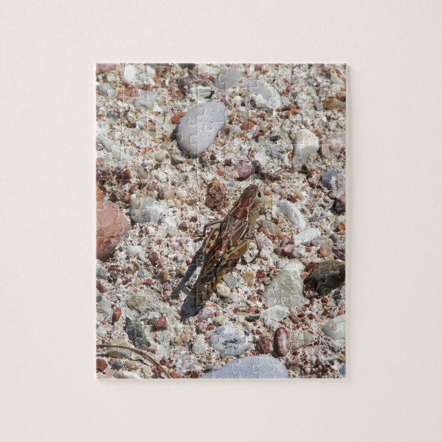 Puzzle Cricket de Jiminy (Vertical)