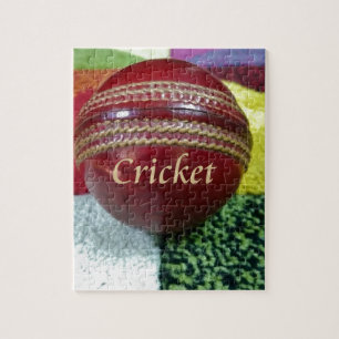 Puzzle Cricket : Red Hard Ball Art Print