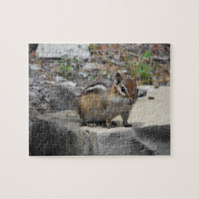 Puzzle Critère mignon comme Chipmunk sur un rocher (Horizontal)