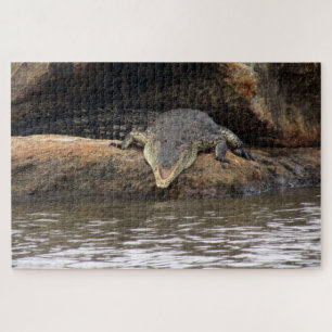 Puzzle crocodile