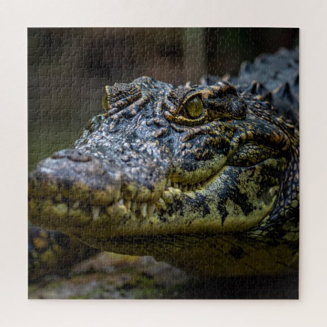 Puzzle Crocodile (Vertical)