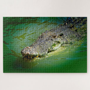 Puzzle Crocodile d'eau salée dans les eaux marécageuses
