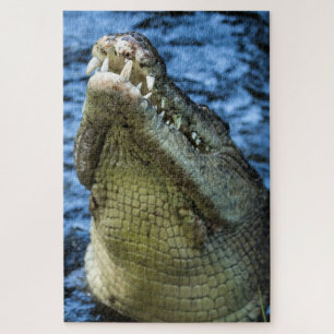 Puzzle Crocodile Dents Eau