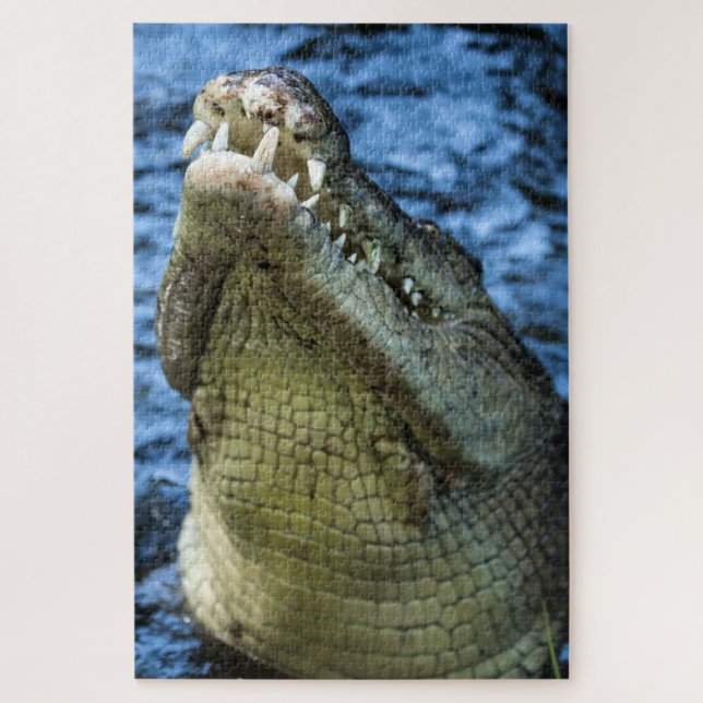 Puzzle Crocodile Dents Eau (Vertical)