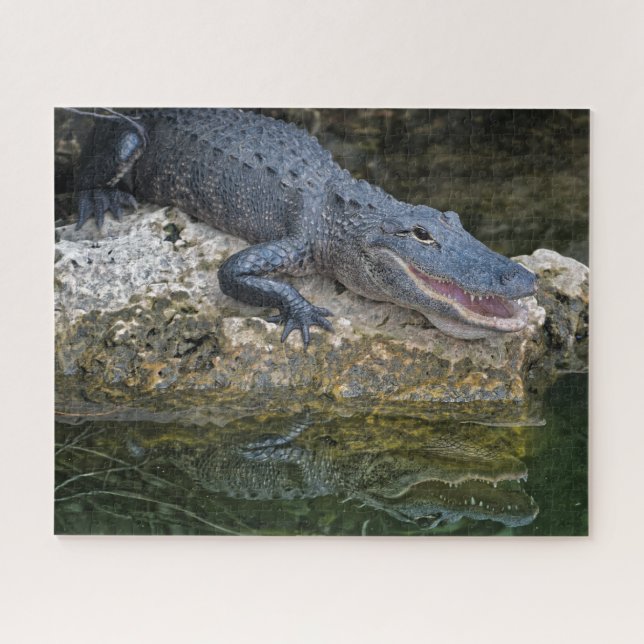 Puzzle Crocodile foncé avec une réflexion claire dans l'e (Horizontal)