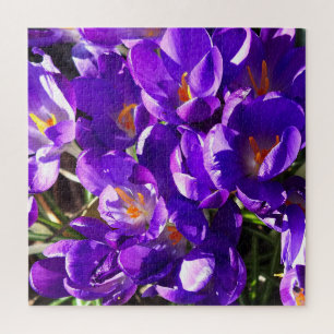 PUZZLE CROCUS DE PRINTEMPS