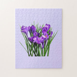 Puzzle Crocus pourpres