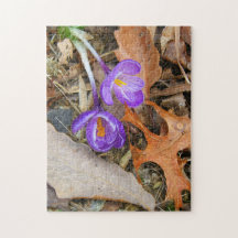 puzzle - Crocus violets