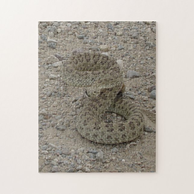 Puzzle Crotale des prairies R9 enroulé (Vertical)