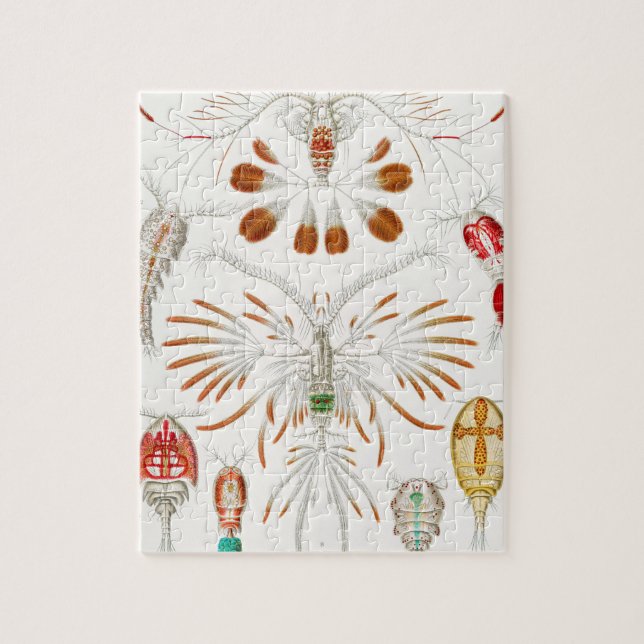 Puzzle Crustacés de la vie marine, Copépodes par Ernst Ha (Vertical)