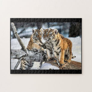 Puzzle Cubes de tigre en jeu
