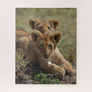Puzzle Cubs de lions africains sauvages