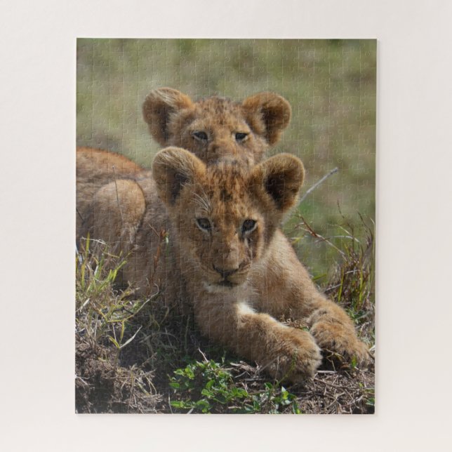 Puzzle Cubs de lions africains sauvages (Vertical)
