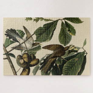 Puzzle Cuckoo à bec jaune - Audubon's Birds of America