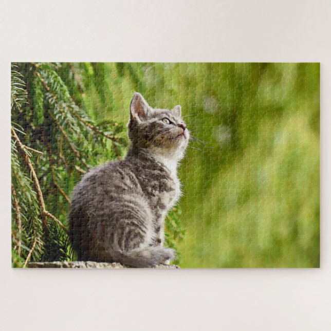 Puzzle Cuisine Chat Gris Kitten Pin vert arbre (Horizontal)