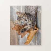 Cuisine Tabby Cat Kitten Jouant avec une feuille -