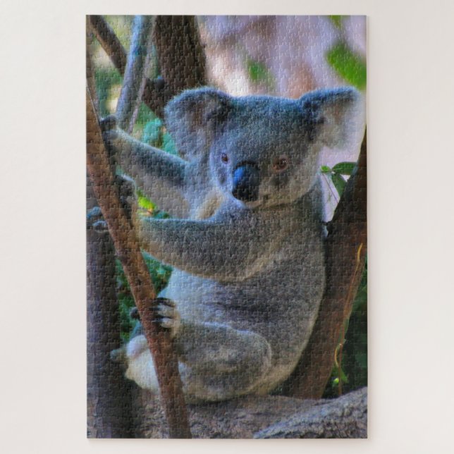 Puzzle Cuisinier koala australien (Vertical)