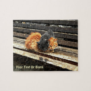 Puzzle Cuisses Catnap