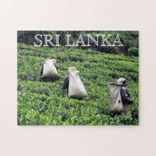 Puzzle cultivateurs de thé sri lanka