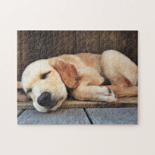 Puzzle Cupide chiot jaune Labrador