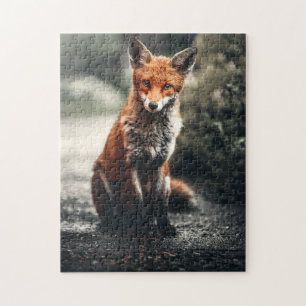 Puzzle Curieux Big Red et White Fox assis dans la nature