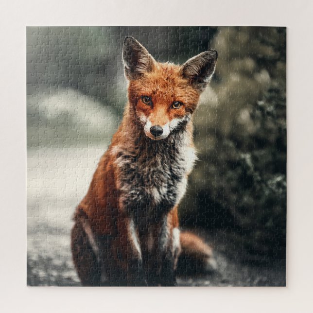 Puzzle Curieux Big Red et White Fox assis dans la nature (Vertical)