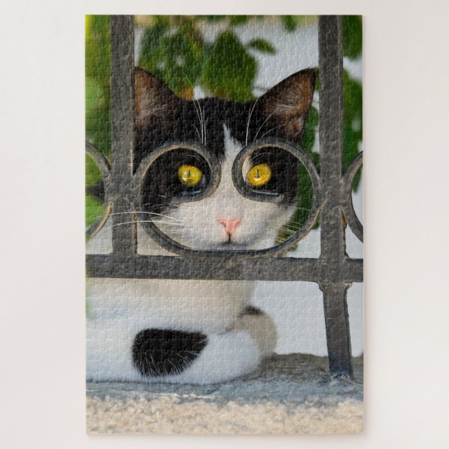 Puzzle Curieux Chat avec cadre Spectacles Drôle Jigsaw (Vertical)