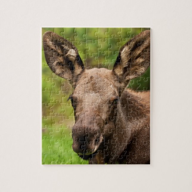 Puzzle Curieux orignal (Vertical)