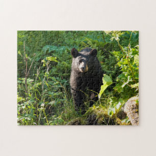 Puzzle Curieux ours noir
