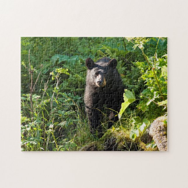 Puzzle Curieux ours noir (Horizontal)