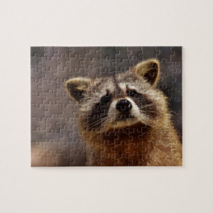 Puzzle Curieux Raccoon