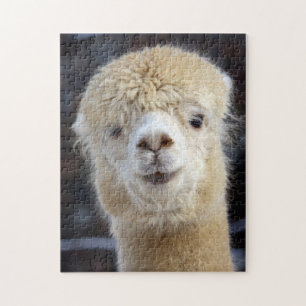 Puzzle Cute Alpaca face