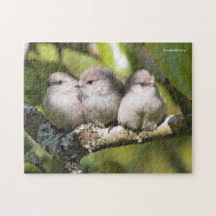 Puzzle Cute Baby Bushtit Songbirds