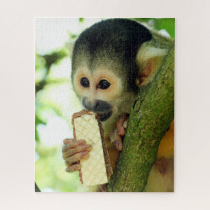 Puzzle Cute Baby Squerrl Monkey Eating a Wafer Biscuit