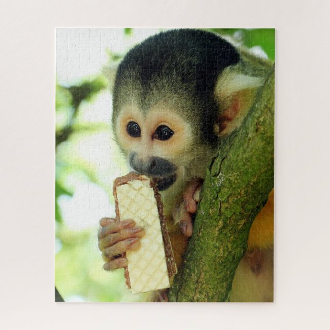 Puzzle Cute Baby Squerrl Monkey Eating a Wafer Biscuit (Vertical)