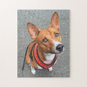 Puzzle Cute Basenji