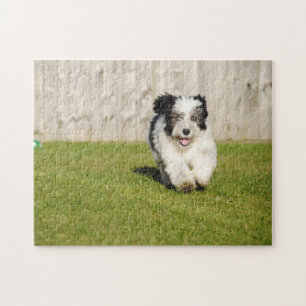 Puzzle Cute Bobtail Sheepdog