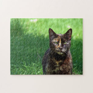 Puzzle Cute Brown Tortoiseshell Photo Chat