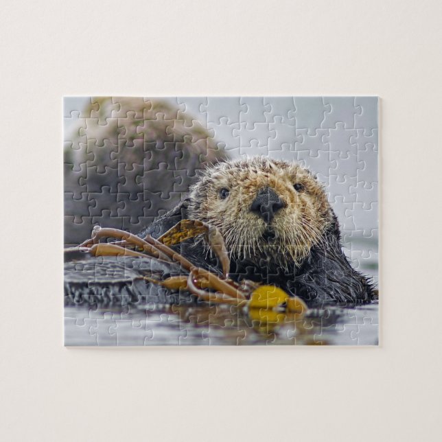 Puzzle Cute California Sea Otter (Horizontal)
