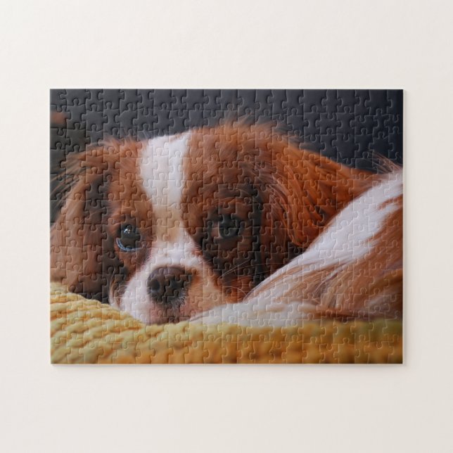 Puzzle Cute Cavalier King Charles Spaniel (Horizontal)