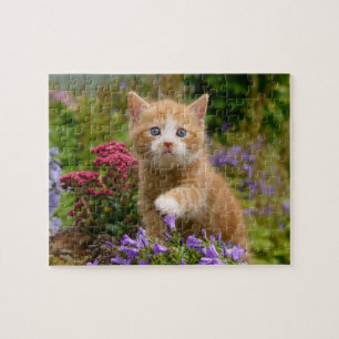 Puzzle Cute chaton gingembre dans un jardin