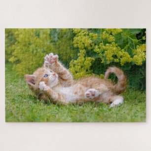 Puzzle Cute chaton jouant dans un jardin fleuri _