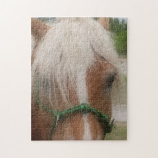 Puzzle Cute Cheval Visage Animal