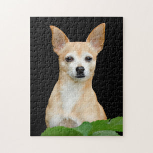 Puzzle Cute Chihuahua Chien Tan Black Art Portrait animal